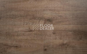 Кварцвиниловые полы IVC Divino (Click, тиснение в регистр) IVC Divino 80273N фото 1 | FLOORDEALER